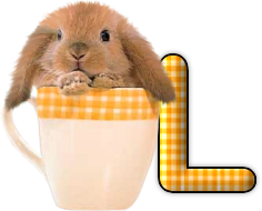 lapin-440506065066-12.png