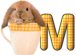 lapin-440506065066-13.png