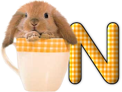 lapin-440506065066-14.png