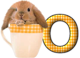 lapin-440506065066-15.png