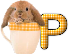 lapin-440506065066-16.png