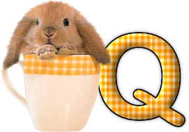 lapin-440506065066-17.png