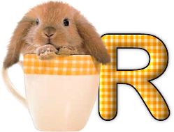 lapin-440506065066-18.png