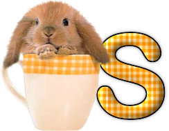 lapin-440506065066-19.png