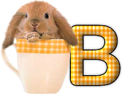 lapin-440506065066-2.png
