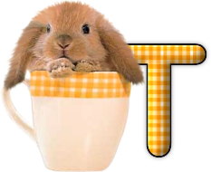 lapin-440506065066-20.png