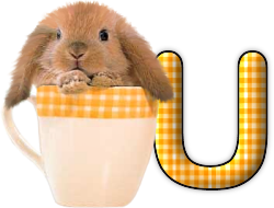 lapin-440506065066-21.png
