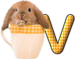 lapin-440506065066-22.png