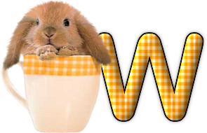 lapin-440506065066-23.png