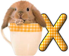 lapin-440506065066-24.png