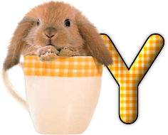 lapin-440506065066-25.png