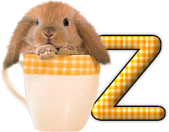 lapin-440506065066-26.png