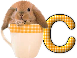 lapin-440506065066-3.png