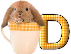 lapin-440506065066-4.png