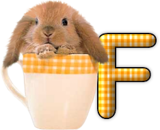 lapin-440506065066-6.png