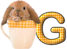 lapin-440506065066-7.png