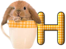 lapin-440506065066-8.png