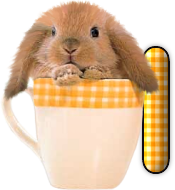 lapin-440506065066-9.png