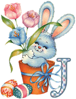 lapin-55868656-10.gif