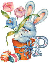lapin-55868656-16.gif