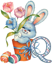 lapin-55868656-17.gif