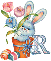 lapin-55868656-18.gif