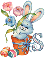 lapin-55868656-19.gif