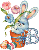 lapin-55868656-2.gif