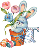 lapin-55868656-20.gif
