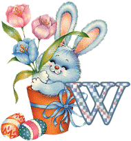 lapin-55868656-23.gif