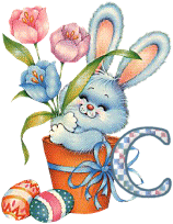 lapin-55868656-3.gif