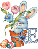 lapin-55868656-5.gif