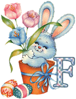 lapin-55868656-6.gif