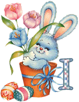 lapin-55868656-9.gif