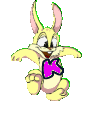 lapin-8989898-11.gif
