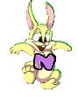 lapin-8989898-14.gif