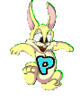 lapin-8989898-16.gif