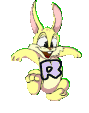 lapin-8989898-18.gif