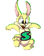 lapin-8989898-19.gif