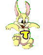lapin-8989898-20.gif