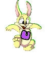 lapin-8989898-21.gif