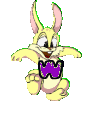 lapin-8989898-23.gif