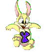 lapin-8989898-25.gif