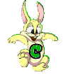 lapin-8989898-3.gif
