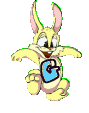 lapin-8989898-7.gif