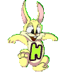 lapin-8989898-8.gif