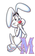 lapin-9943344343-13.gif