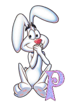 lapin-9943344343-16.gif
