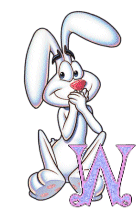 lapin-9943344343-23.gif