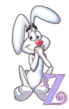 lapin-9943344343-26.gif